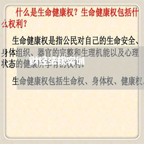 财经法规实训