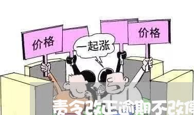 责令改正逾期不改停业整顿