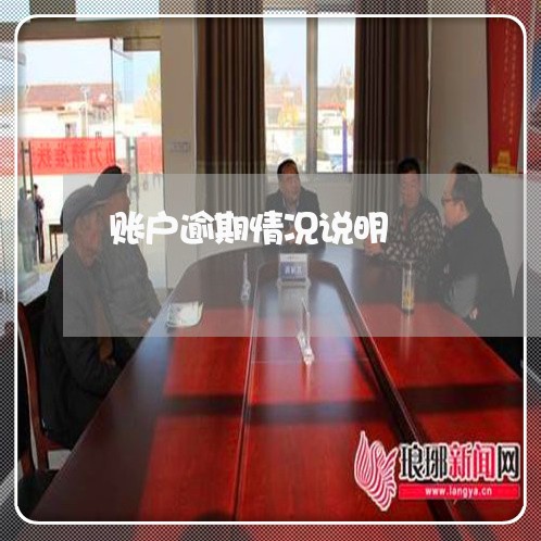 账户逾期情况说明 账户逾期情况说明