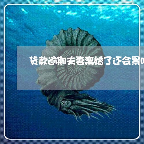 货款逾期夫妻离婚了还会累吗