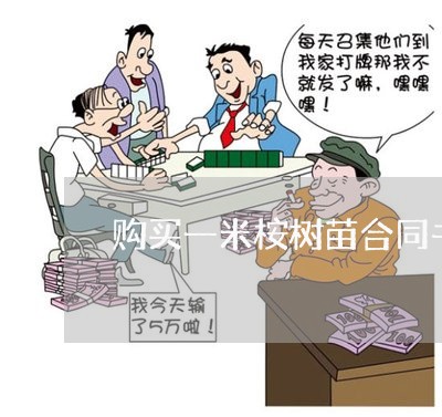 购买一米桉树苗合同书怎么写/2023061609562