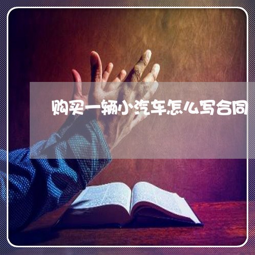 购买一辆小汽车怎么写合同/2023060869471