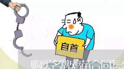 购买名牌鸡苗合同怎么写/2023041270484