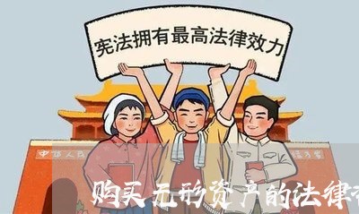 购买无形资产的法律咨询费用