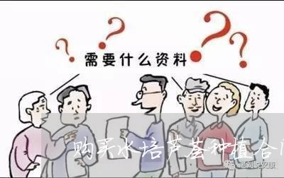 购买水培芦荟种植合同怎么写/2023022671804 购买水培芦荟种植合同怎么写/2023022671804