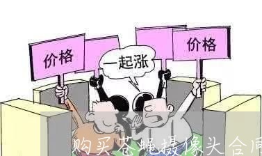 购买苍蝇摄像头合同书怎么写/2023060715158 购买苍蝇摄像头合同书怎么写/2023060715158