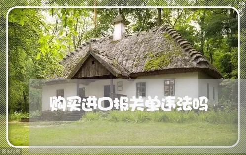 购买进口报关单违法吗