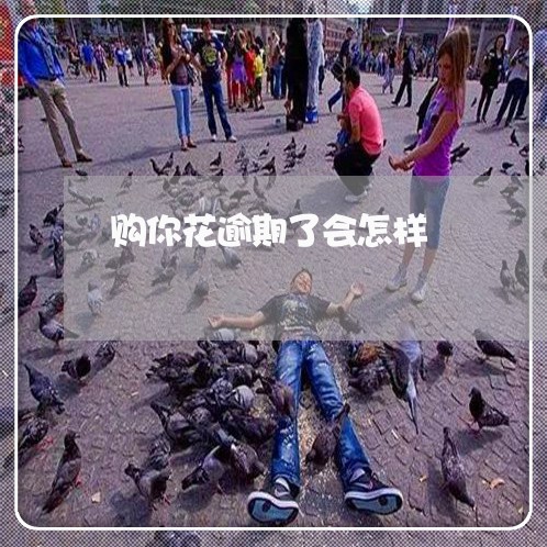 购你花逾期了会怎样