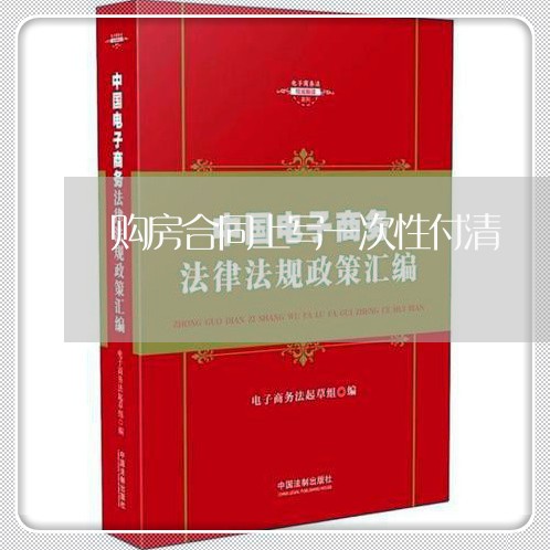 购房合同上写一次性付清/2023060654606