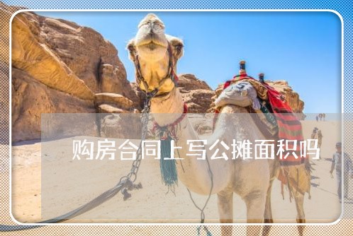 购房合同上写公摊面积吗/2023041159593 购房合同上写公摊面积吗/2023041159593