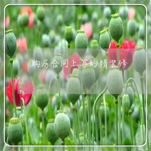 购房合同上写的精装修/2023041649393