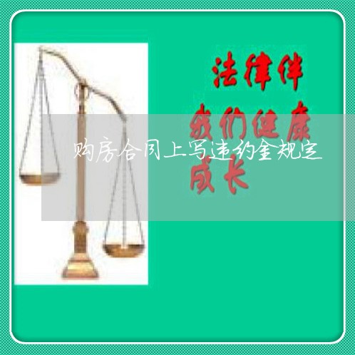 购房合同上写违约金规定/2023041652483