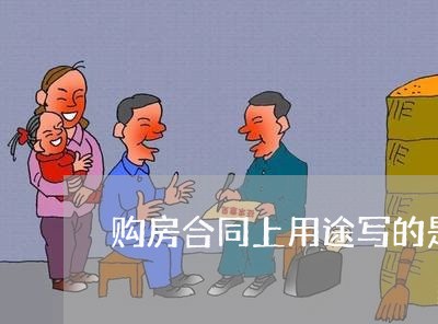 购房合同上用途写的是综合/2023041353794