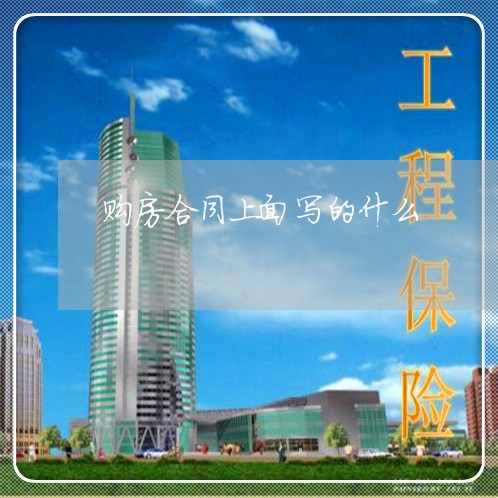 购房合同上面写的什么/2023041152684 购房合同上面写的什么/2023041152684