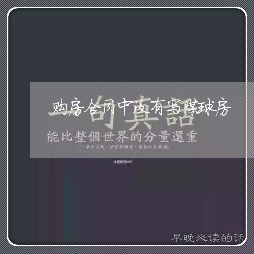 购房合同中没有写煤球房/2023041148274 购房合同中没有写煤球房/2023041148274