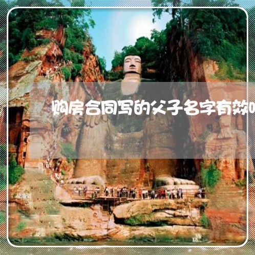 购房合同写的父子名字有效吗/2023041537470 购房合同写的父子名字有效吗/2023041537470