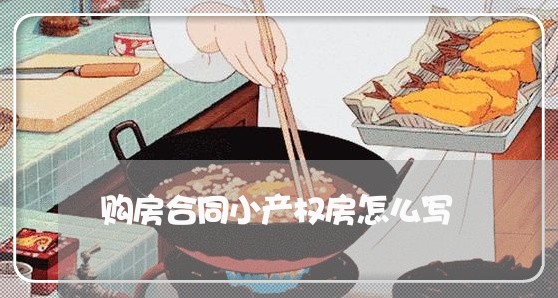 购房合同小产权房怎么写/2023041172629 购房合同小产权房怎么写/2023041172629