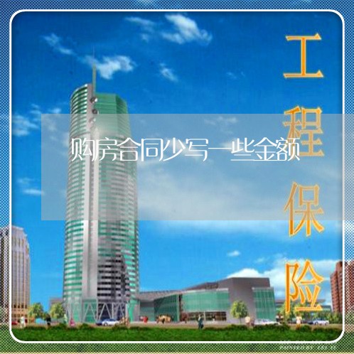 购房合同少写一些金额/2023041572391 购房合同少写一些金额/2023041572391