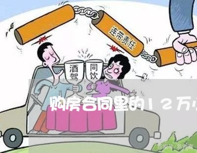 购房合同里的12万小写怎么写/2023060359281