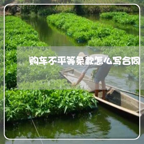 购车不平等条款怎么写合同/2023042359370