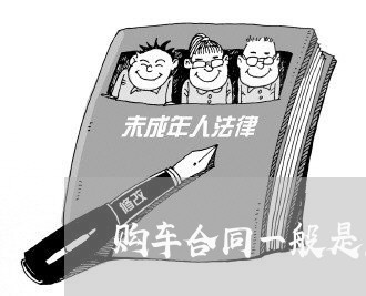 购车合同一般是怎么写/2023060241574