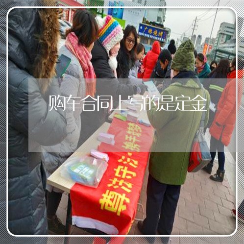 购车合同上写的是定金/2023022723038 购车合同上写的是定金/2023022723038