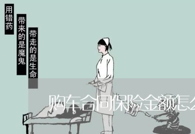 购车合同保险金额怎么写/2023042298169