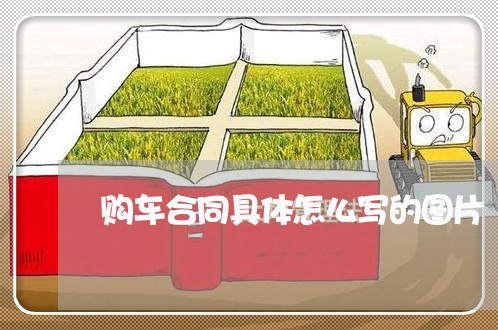 购车合同具体怎么写的图片/2023022609713 购车合同具体怎么写的图片/2023022609713