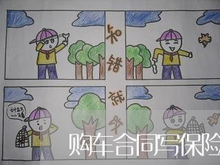 购车合同写保险金额吗合理吗/2023060793948