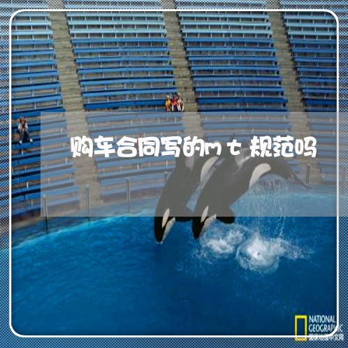 购车合同写的mt规范吗/2023040375948