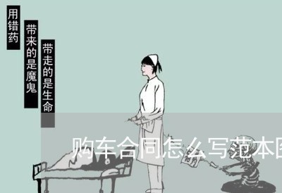 购车合同怎么写范本图片/2023041218562