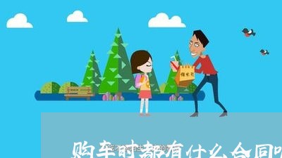购车时都有什么合同呢怎么写/2023042041691