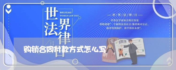 购销合同付款方式怎么写/2023040972604