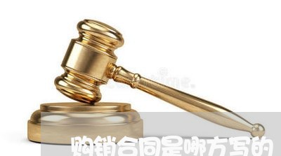 购销合同是哪方写的/2023022610502