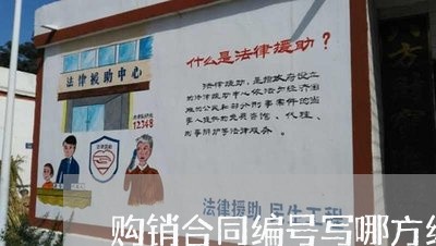 购销合同编号写哪方编号/2023040470604