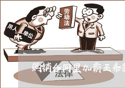 购销合同里加霸王条款怎么写/2023041250491