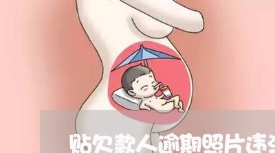 贴欠款人逾期照片违法吗 贴欠款人逾期照片违法吗