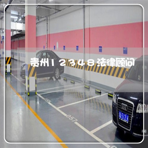 贵州12348法律顾问/2023061774715