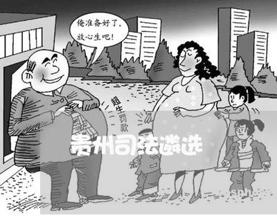 贵州司法遴选 贵州司法遴选