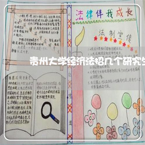 贵州大学经济法招几个研究生 贵州大学经济法招几个研究生