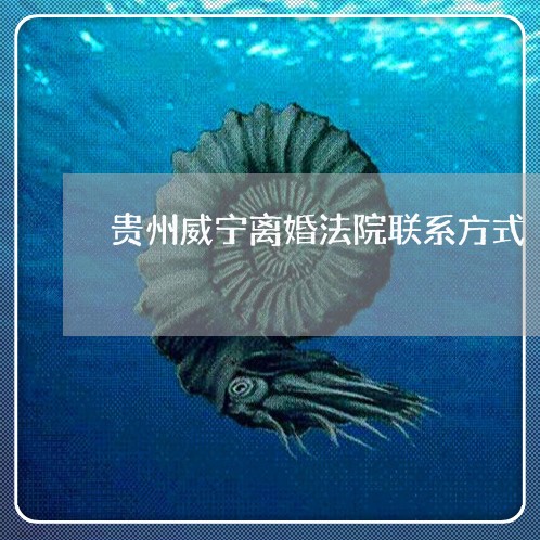 贵州威宁离婚法院联系方式