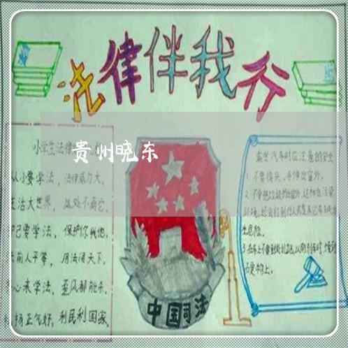 贵州晓东