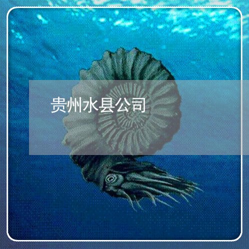 贵州水县公司