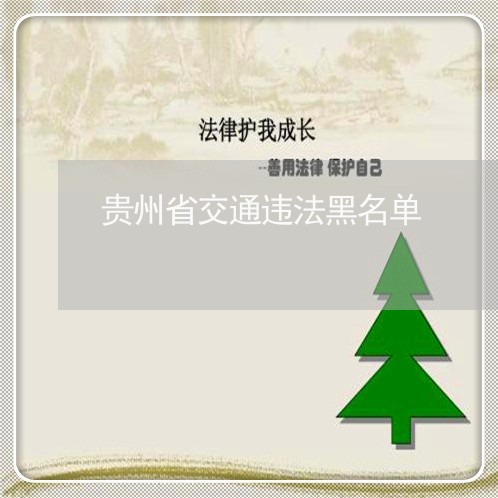 贵州省交通违法黑名单 贵州省交通违法黑名单