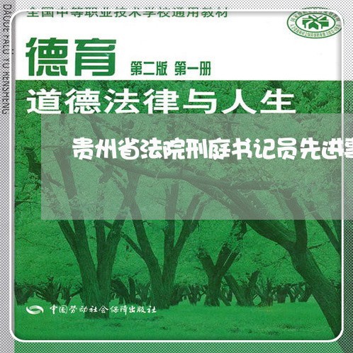 贵州省法院刑庭书记员先进事迹 贵州省法院刑庭书记员先进事迹