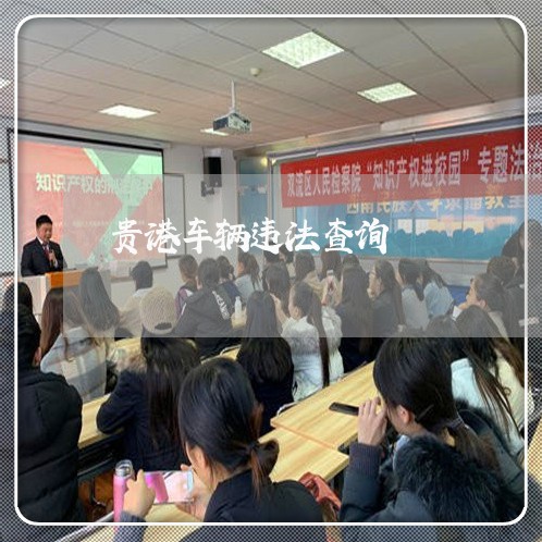 贵港车辆违法查询 贵港车辆违法查询