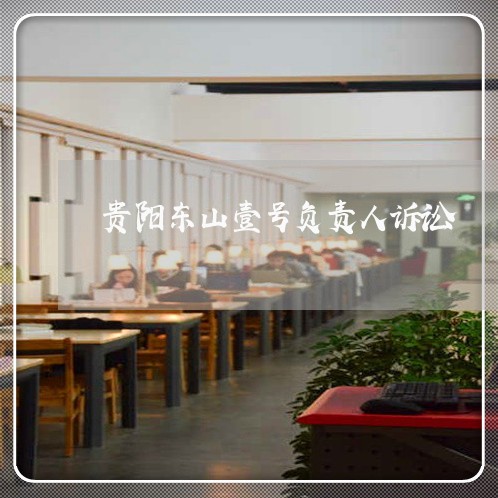 贵阳东山壹号负责人诉讼 贵阳东山壹号负责人诉讼