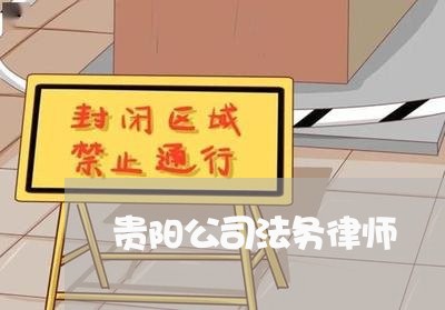 贵阳公司法务律师 贵阳公司法务律师
