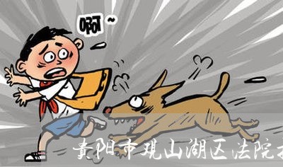 贵阳市观山湖区法院拍卖 贵阳市观山湖区法院拍卖