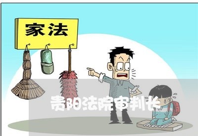贵阳法院审判长